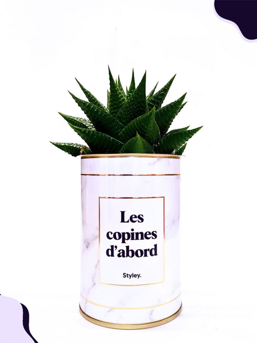 Cactus Styley Les copines d'abord