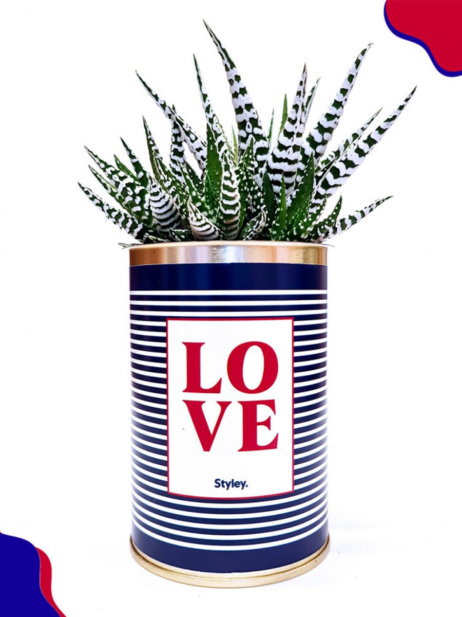 Cactus Styley Love