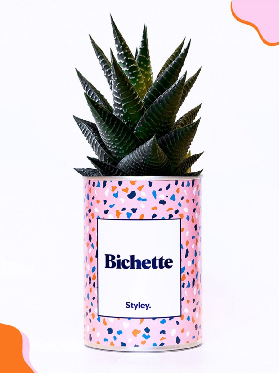 Cactus Styley Bichette